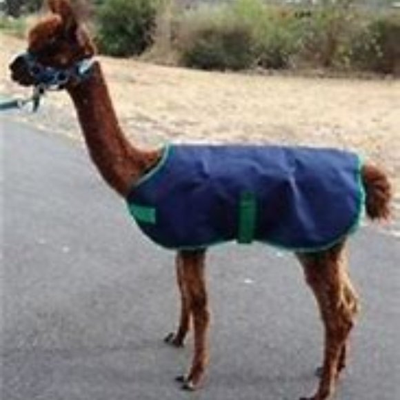HEY FOLKS! BUNDLE UP & SAVE BUCKS! - Picture 1 of 1